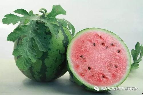 博雅吃瓜网红是谁啊图片,网络红人的崛起之路  第2张